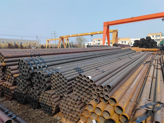 IMG_20230401_152847.jpg IMG_20230401_152847.jpg