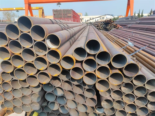 IMG_20230401_153014.jpg IMG_20230401_153014.jpg