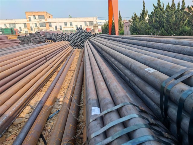 IMG_20230401_153802.jpg IMG_20230401_153802.jpg