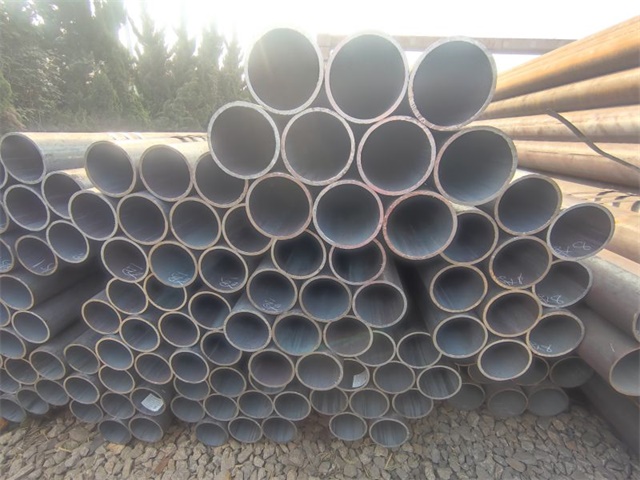 IMG_20230401_153556.jpg IMG_20230401_153556.jpg